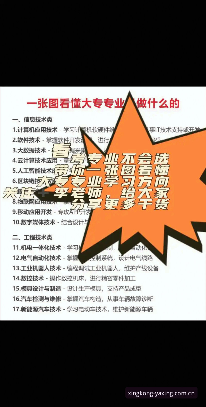 亚星官方网站地址 亚星官方网站地址选择指南:最新入口与备用通道对比分析